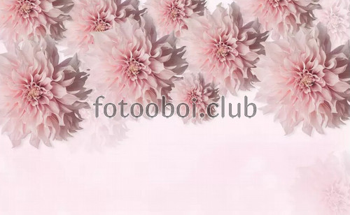 цветы, розовые, дизайнерские, 3д, 3d